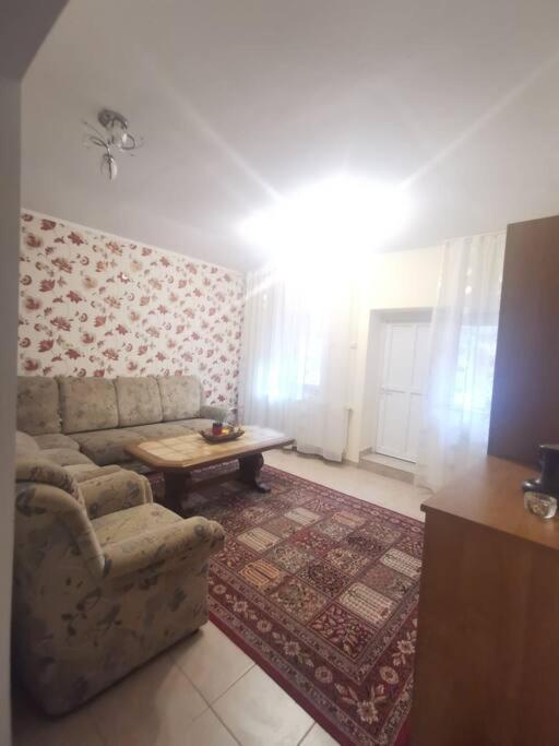 Tth Apartament Timisoara Exterior photo